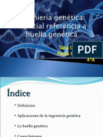 Ingeniería genética: Definición, aplicaciones y casos famosos