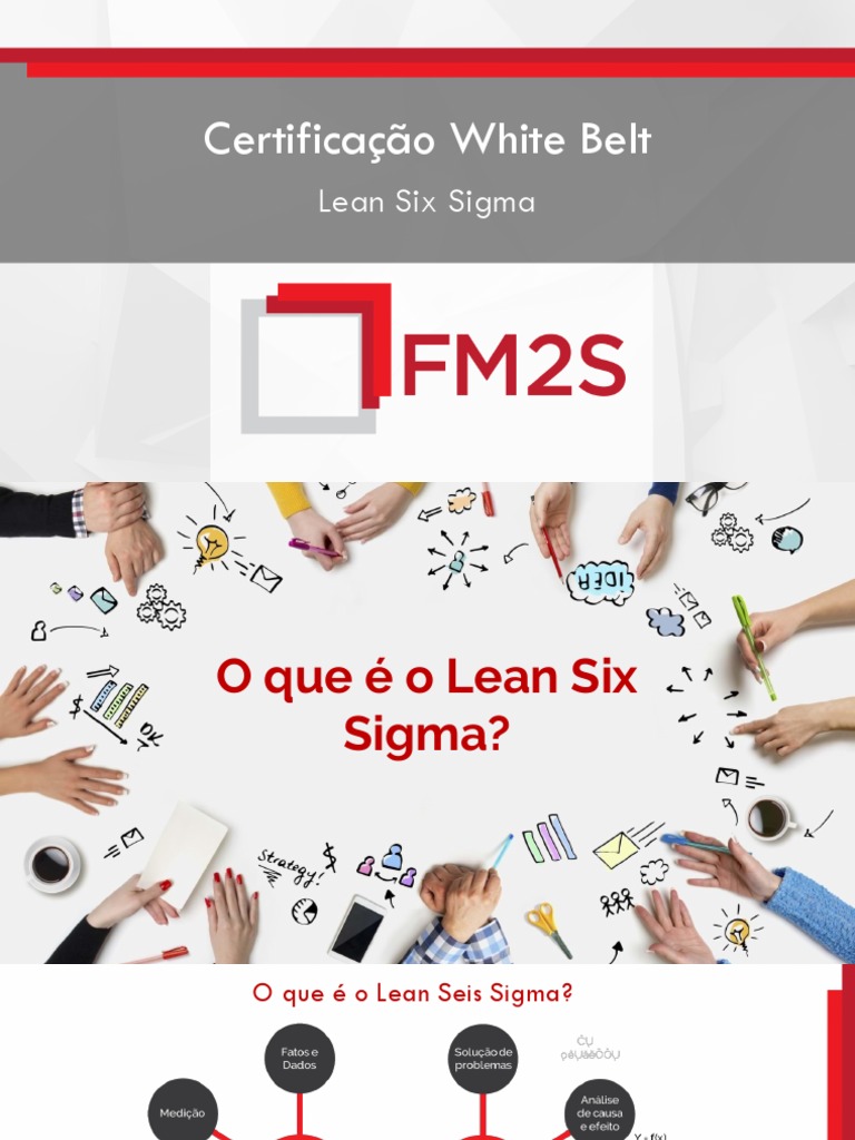 Lean Six Sigma White Belt | PDF | Seis Sigma | Science