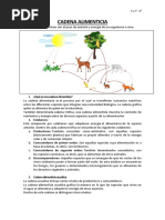 Cadena Alimenticia