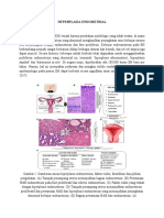 Hyperplasia Endometrial