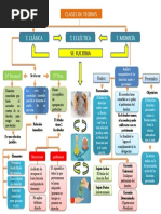 Mapa Conceptual-Clases de Teorias.