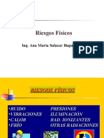 Riesgos_Fisicos_2010