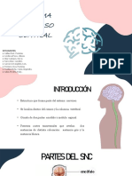 SNC PDF