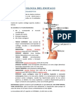 Patologia Del Esofago