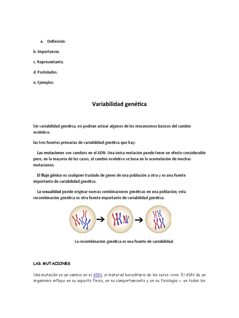 Fuentes de Variabilidad Genética | PDF | Mutación | Evolución