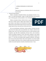 Laporan Pendahuluan DM Ulkus PDF
