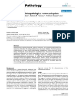 Diagnostic Pathology: Adamantinoma: A Clinicopathological Review and Update