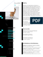 71 Curriculum Vitae Arquitecto 97 2003