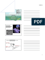 Modul 4 - Epigenetica General PDF