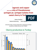 The Diagnosis and Copper Sensitivity of Pseudomonas Sweet Cherry in Turkey