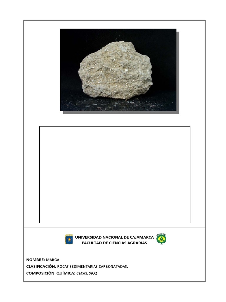 Marga: Roca Sedimentaria Carbonatada | PDF
