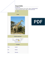 Girafa Wiki