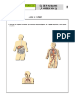 ACTIVIDAD 2 - El - Ser - Humano - La - Nutricion - I - ENTREGAR EL 5 DE JUNIO