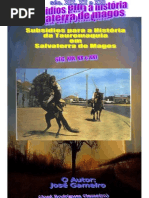 Subsídios para a História da Tauromaquia em Salvaterra de Magos - Séc XIX, XX, XXI