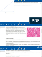 Cardio Histology 3