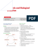 TCA Cycle and Biological Oxidation Summary