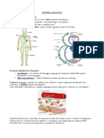 Sistema Linfatico