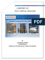 Report on Working Capital Changes at Hindustan Power Projects
