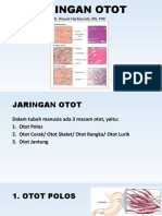 Jaringan Otot