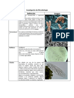 Investigación de Microbiología