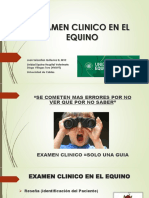 Examen Clinico Equinos