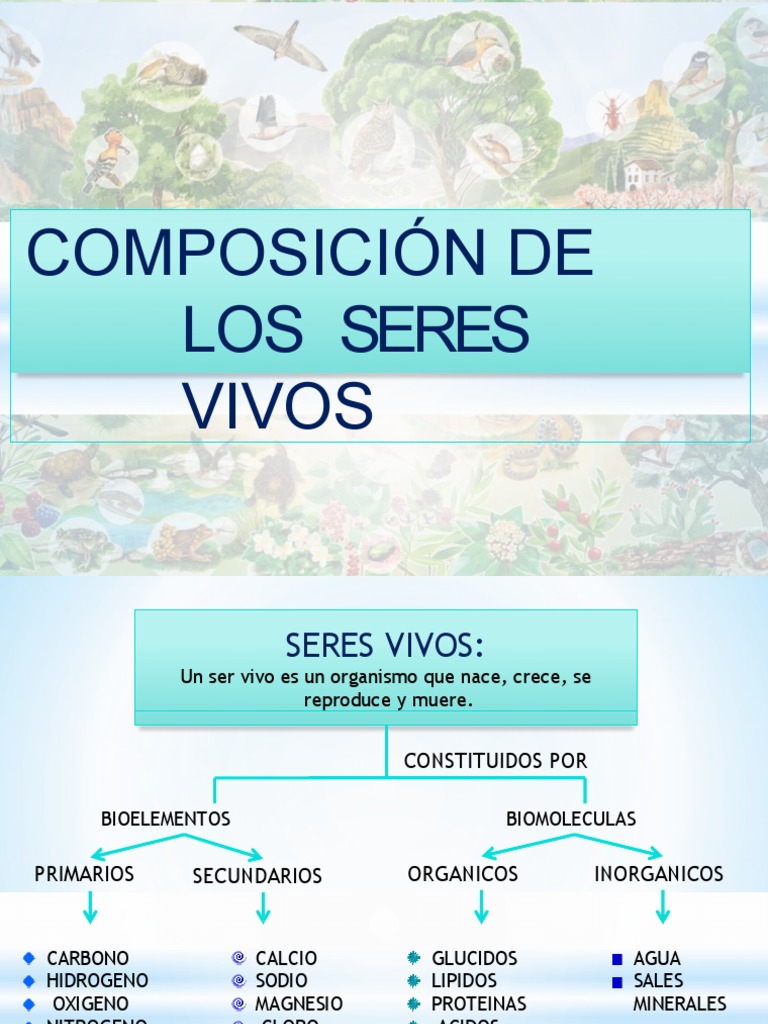 Composicion de Los Seres Vivos | PDF | Organismos | Compuestos orgánicos