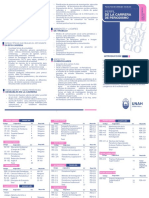 Periodismo 2019 U.V PDF