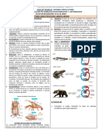 Sistema circulatorio en animales invertebrados y vertebrados