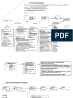 Flujo CPC.pdf