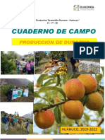 CUADERNO DE CAMPO - c-17-25