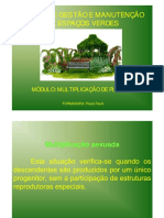 Multiplicacao de Plantas PDF