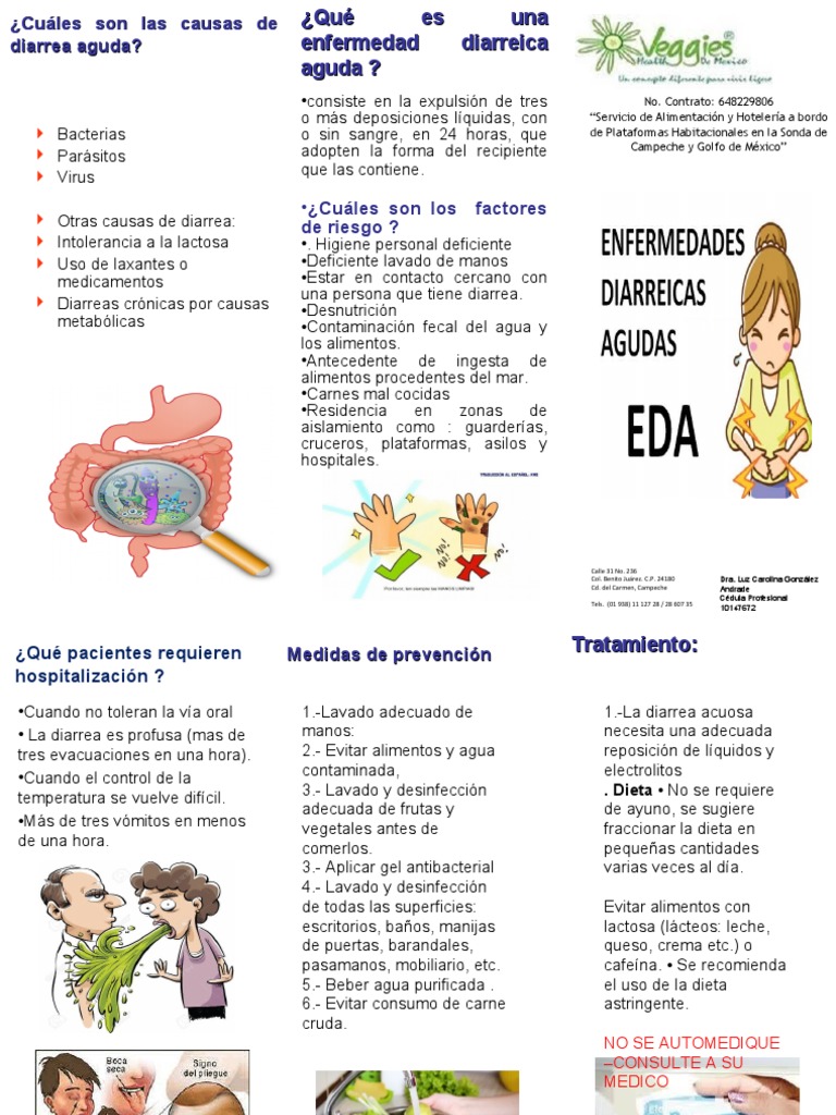 Guía sobre Diarrea Aguda y Acuosa | PDF | Diarrea | Heces