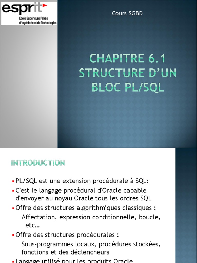 Introduction à PL/SQL pour Oracle | PDF | PL/SQL | SQL