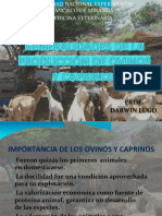 Temas1y2decaprinoyovinoprof 160606235036