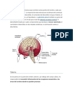 El diencéfalo es una estructura que contiene varias partes del cerebro