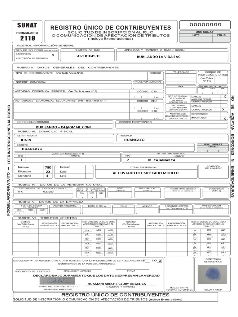 Llenado del Formulario 2119 SUNAT | PDF | Gobierno