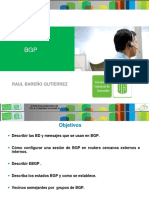 Cap 23.BGP PDF