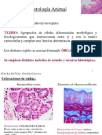 Histologia Animal 2017