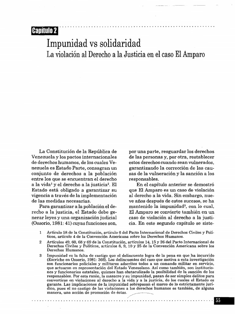 Capítulo 2 | PDF | Justicia | Crimen y violencia