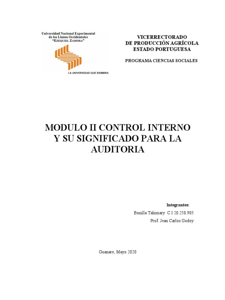 Control Interno en Auditoría: Definición y Objetivos | PDF | Contralor ...