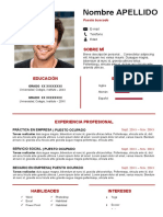 62 Curriculum Vitae Primer Empleo