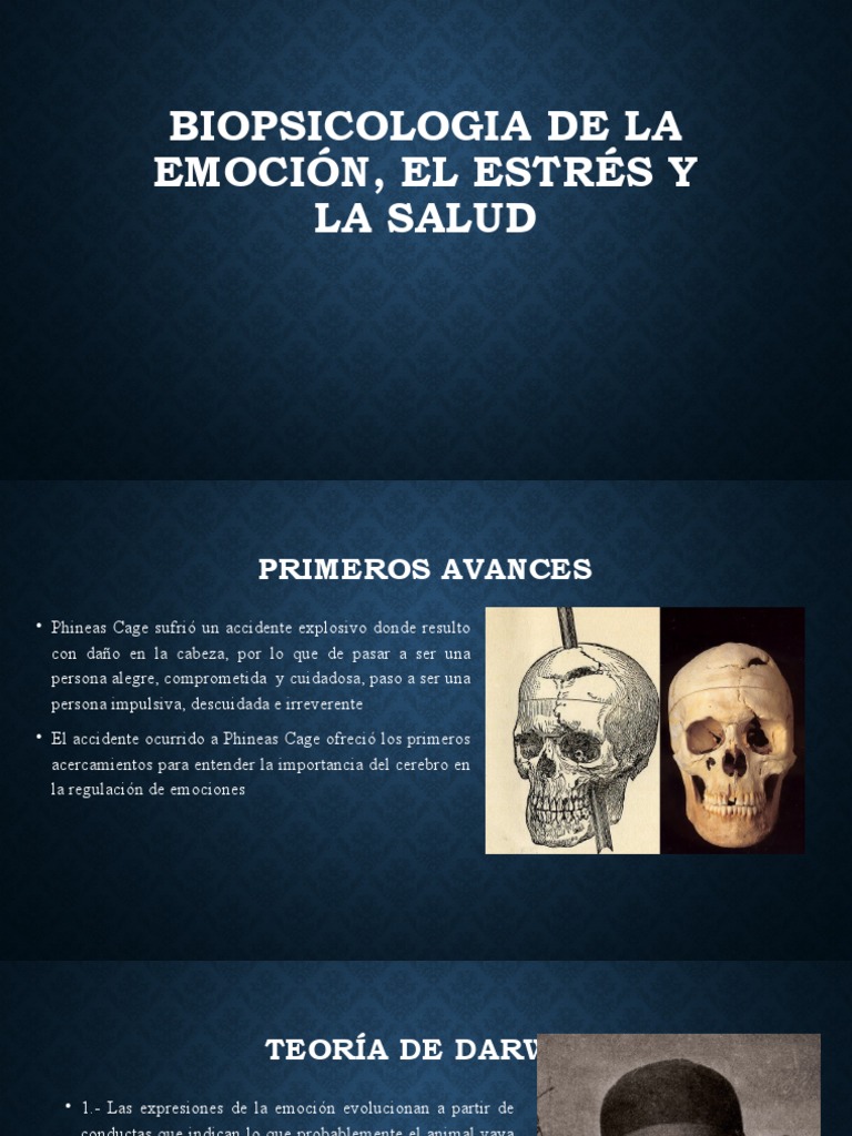 Biopsicologia de La Emoción, El Estrés y | PDF | Las emociones | Estrés ...