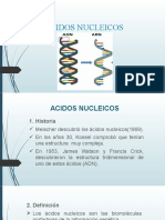 Acidos Nucleicos