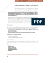 6. Plan de parto radar de gestantes.pdf