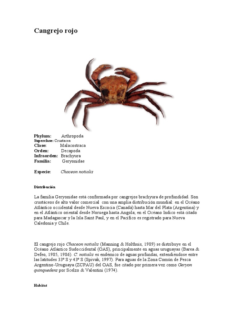 1905 Cangrejo Rojo Ap 0 | PDF | Pesquería | océano Atlántico, image size:768x1024