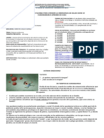Guia 3 Octavo PDF