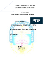 Informe 3 de Suelos