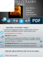 Sentido Cutaneo Diapositivas Fiorella PDF