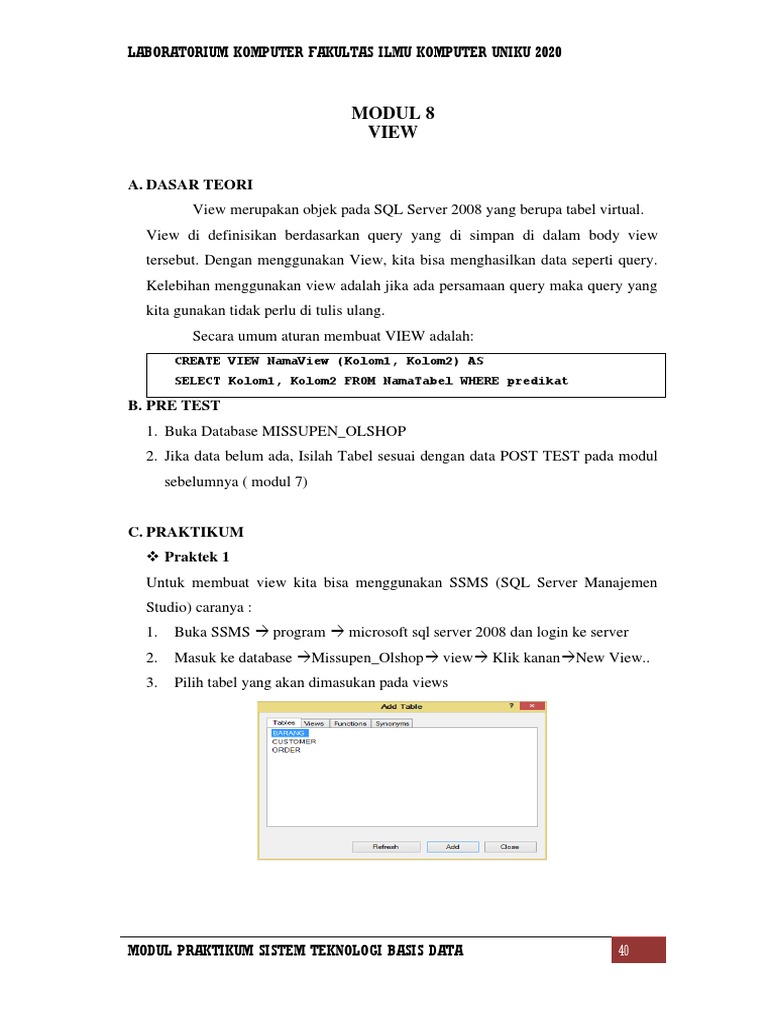 Panduan Praktikum SQL: Membuat View | PDF | Pengelolaan Keuangan & Uang