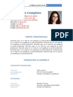 CV perfil profesional formación
